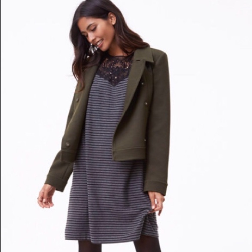 Loft Knit Swing Dress